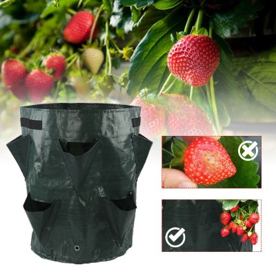 Jardiniere-suspendue-WonderfulGarden_-Sac-de-plantation-de-3-gallons-image-variete