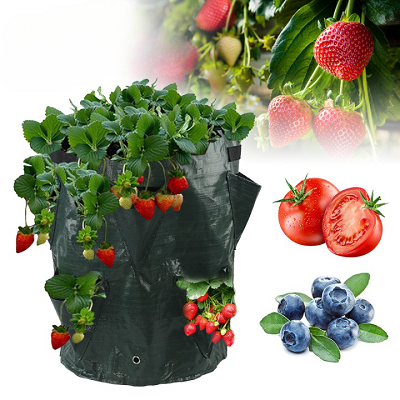 Jardiniere-suspendue-WonderfulGarden_-Sac-de-plantation-de-3-gallons-image-variete